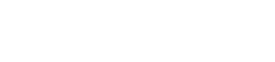 LUNGO